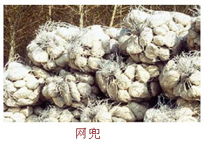 安平县鼎阳丝网_网兜