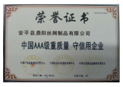 安平县鼎阳丝网_资质荣誉