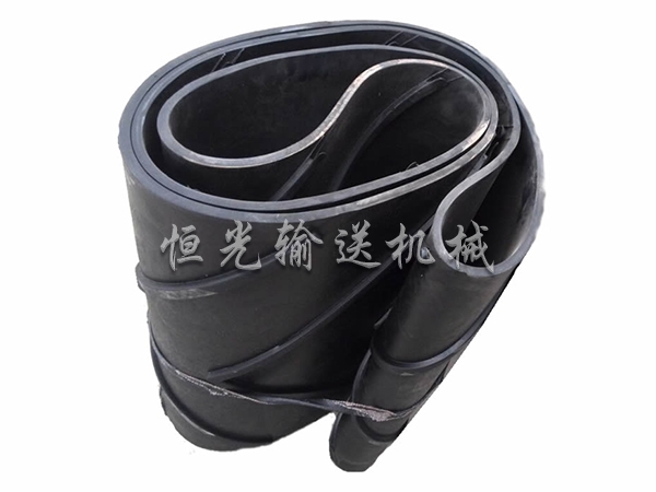 環(huán)形輸送帶-1.jpg